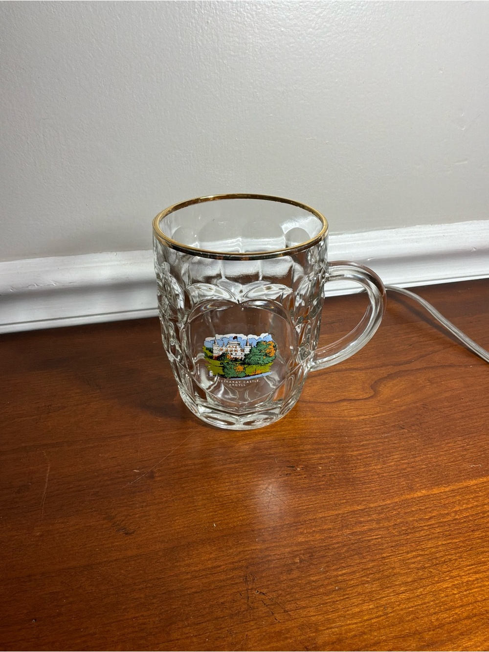 Raven head Beer Mug  with Gold Rim and Scenic Emblem 14oz